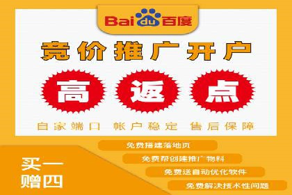 竞价广告的创意与执行：某快消品的营销突破